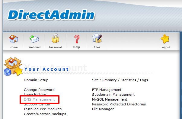 How to access DirectAdmin DNS records editor