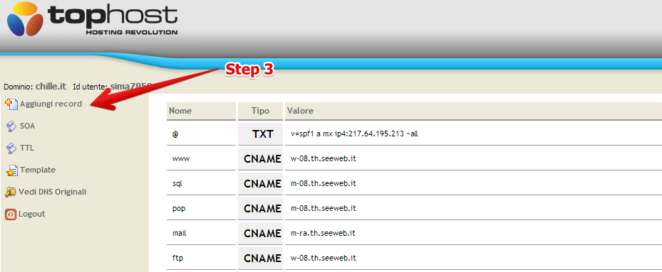 TopHost Add DNS record